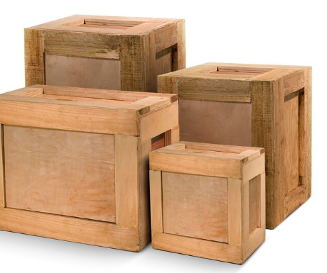 Tratamento fitossanitário: qual a importância e onde realizar
